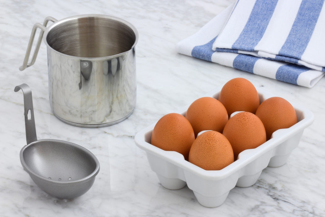 Les Protéines et votre alimentation