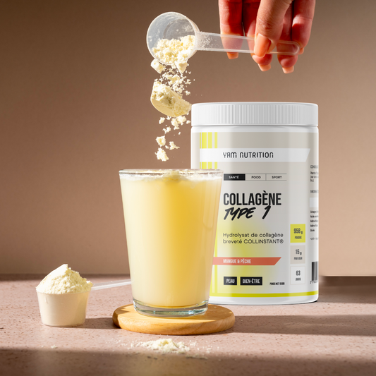 Collagen Type 1 Powder