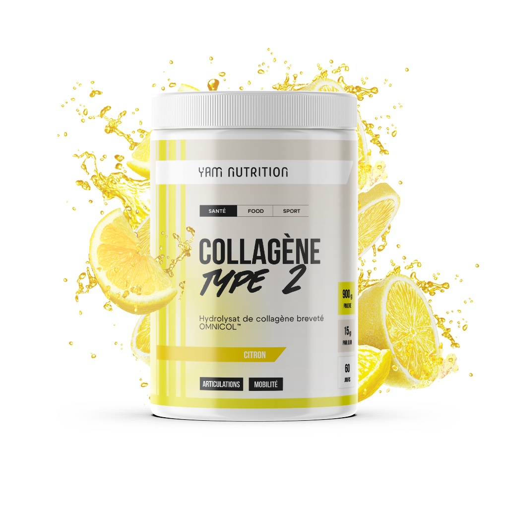 Collagène Type 2 en poudre