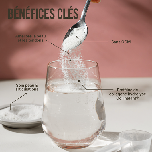 Collagène Type 1 en poudre