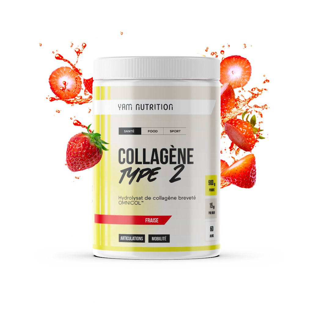 Collagène Type 2 en poudre