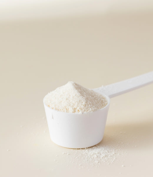 Créatine Monohydrate Micronisée