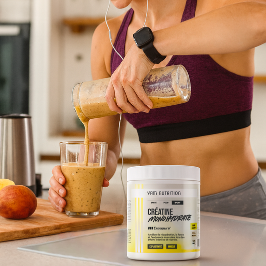 L’assimilation de la créatine par vos fibres musculaires