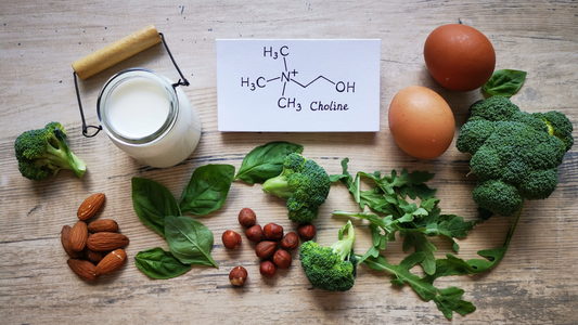 Le rôle de la choline et de l’inositol sur l’utilisation des graisses