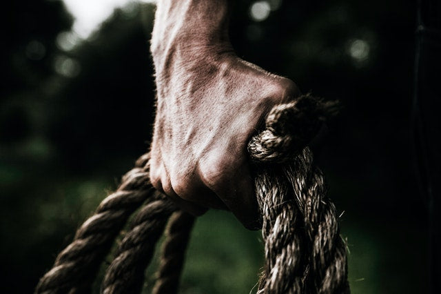 Force, puissance musculaire et agressivité au combat avec Virilis V2
