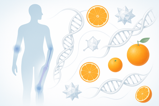 Les articulations, le collagène et la vitamine C