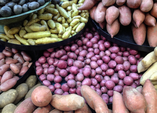 Les différentes familles de pommes de terre et de patates douces…