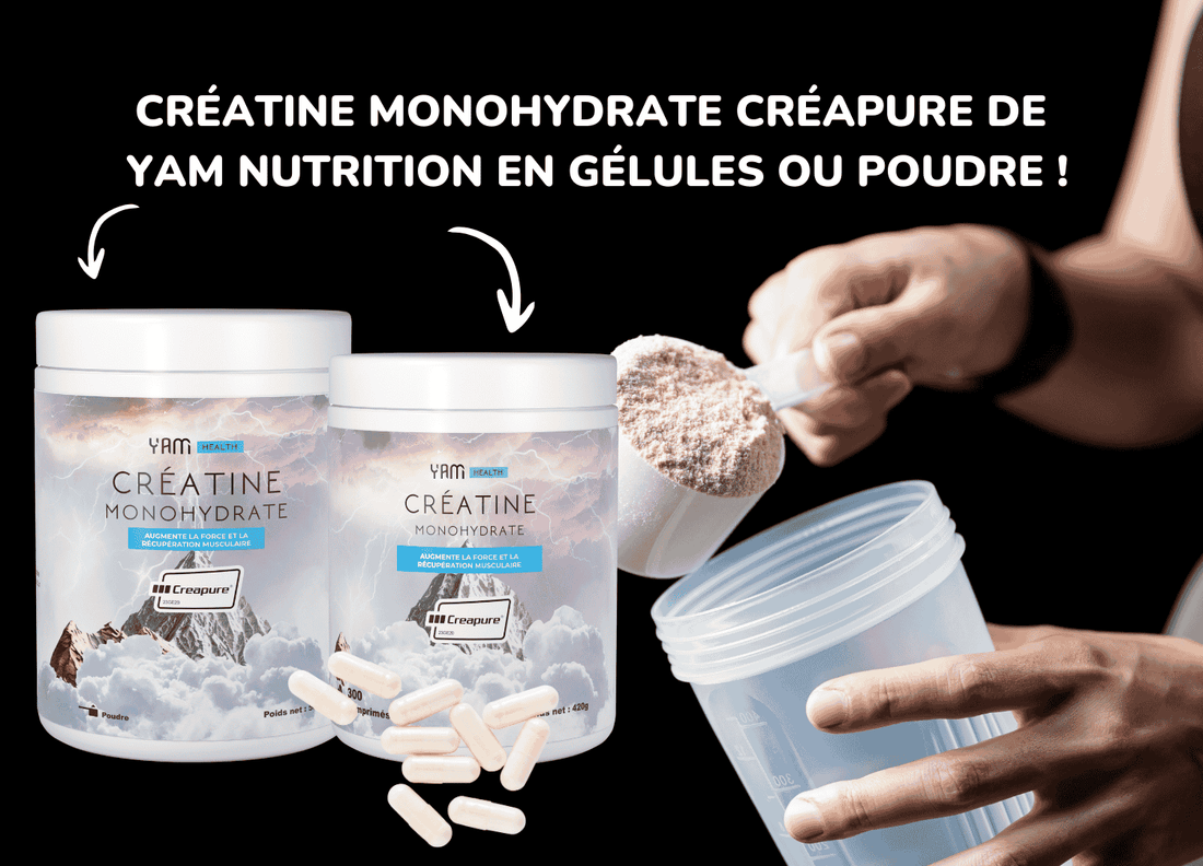 La créatine pour gagner de la force