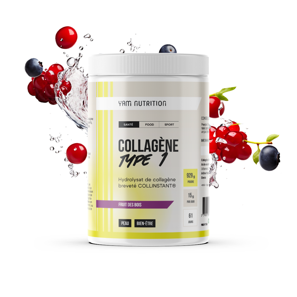 Collagène Type 1 en poudre