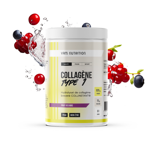 Collagen Type 1 Powder