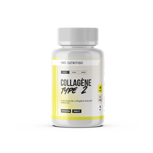 Collagen Type 2 in capsules