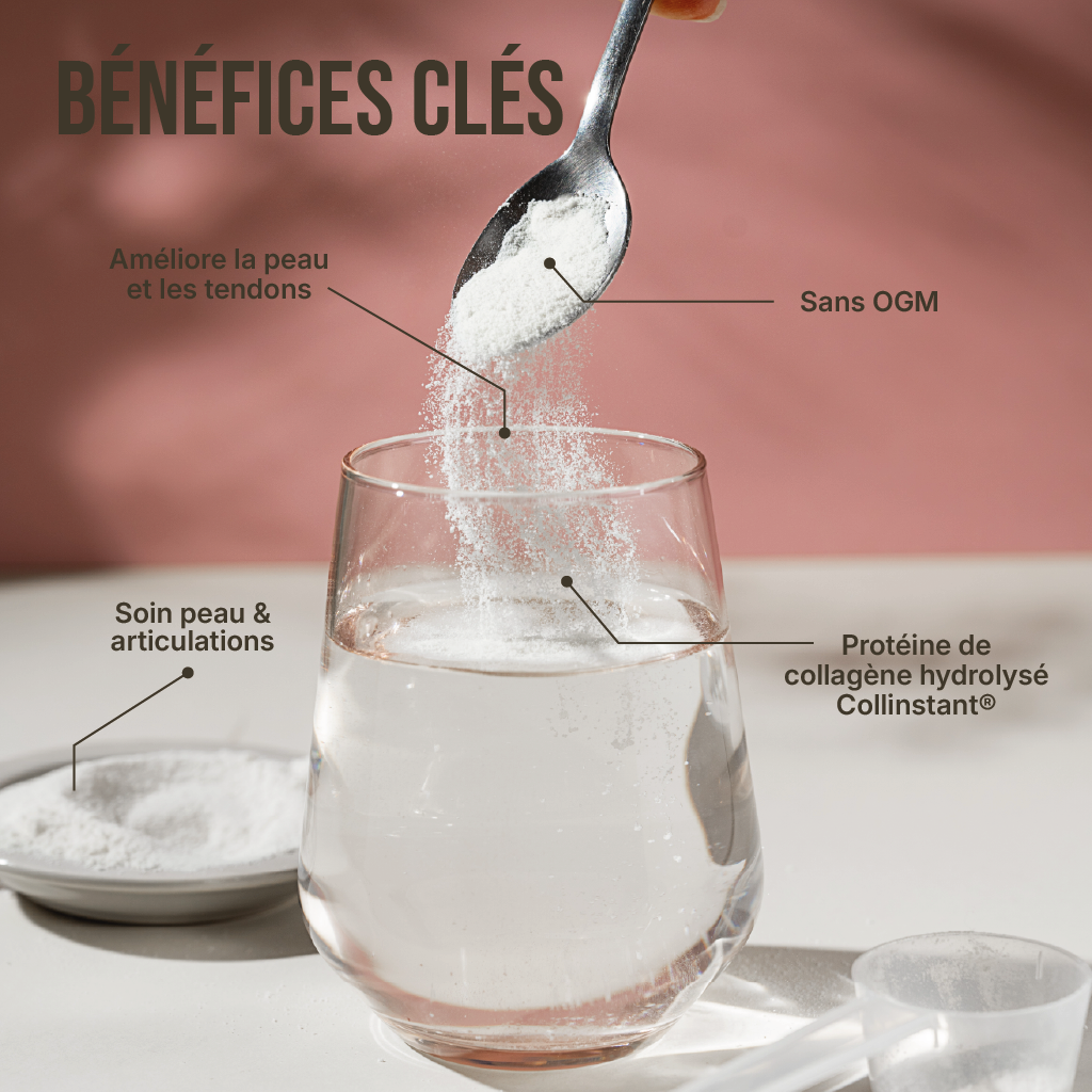 Collagène Type 1 en poudre