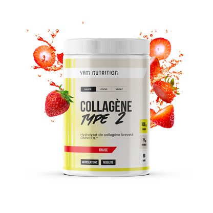 Collagène Type 2 en poudre