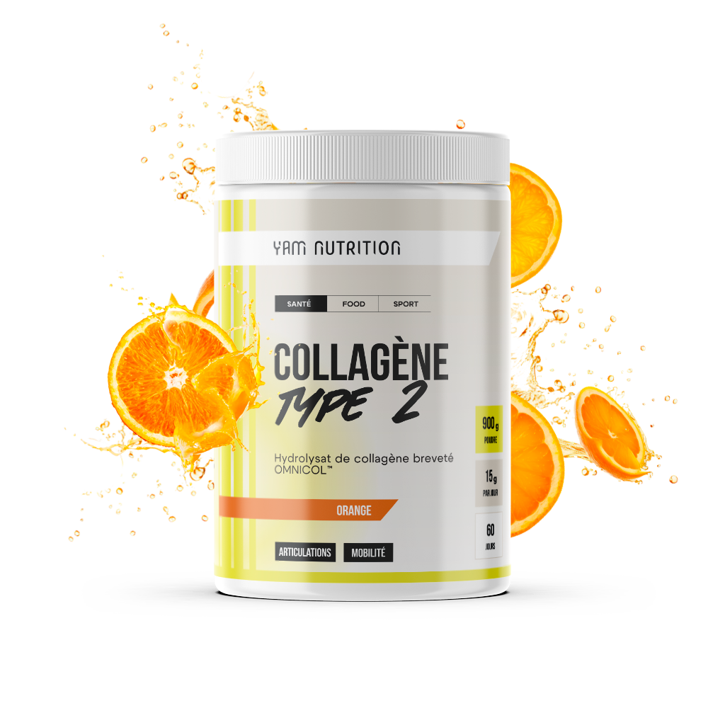 Collagène Type 2 en poudre