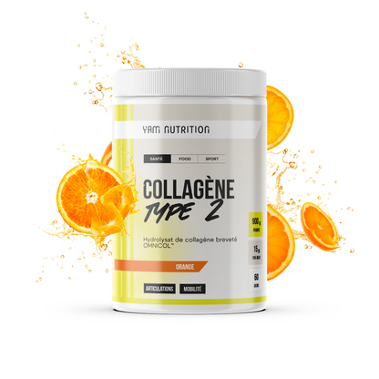 Collagène Type 2 en poudre