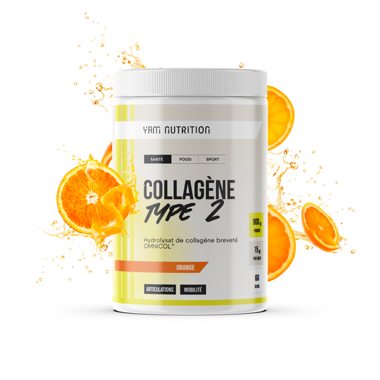Collagène Type 2 en poudre