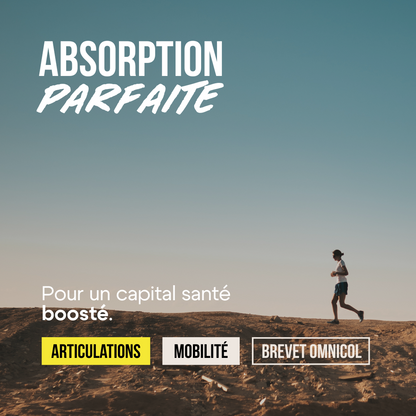 Collagène Type 2 en gélules