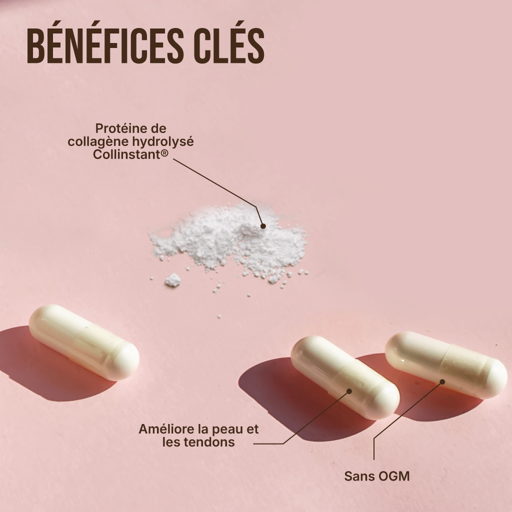 Collagène Type 1 en gélules