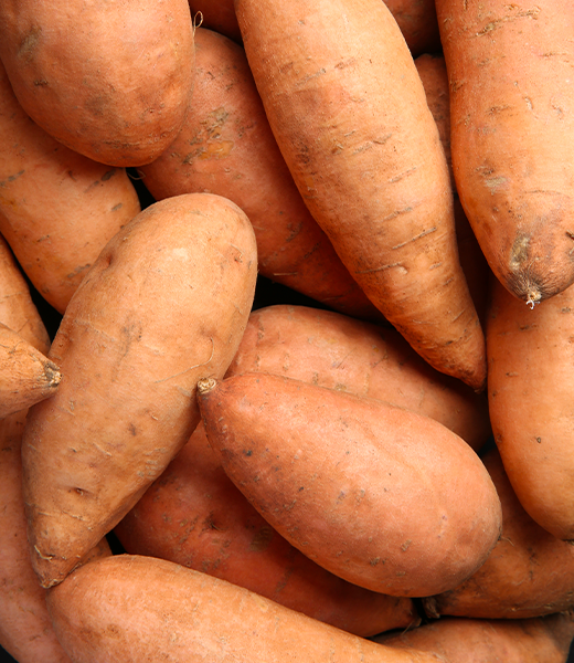La patate douce